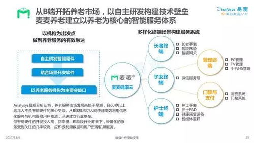 2017年中国互联网居家养老服务专题分析 个人互联网服务的新蓝海